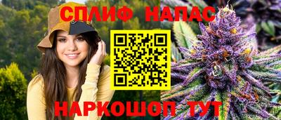 МДПВ Краснодар