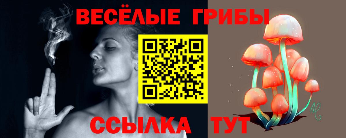Ивантеевка  Псилоцибиновые грибы мицелий  Вход с VPN  Псилоцибиновые грибы MAGIC MUSHROOMS 