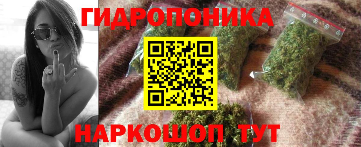 Канабис сатива  МАРИХУАНА MAZAR  Вход с VPN  Ивантеевка  Бошки Шишки конопля 